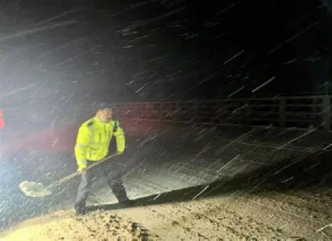 对自己历险的一次总结